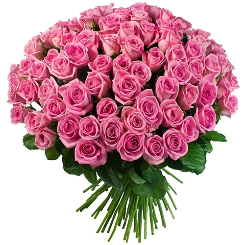 "101 розовая роза". Букет роз, 101-151 шт